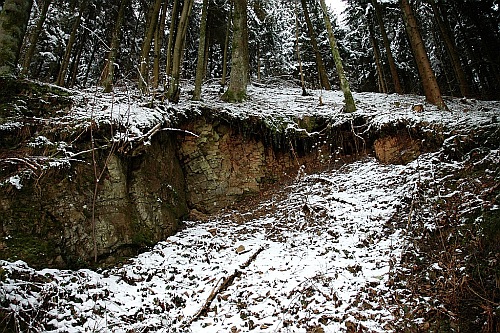 Stone Wood Snow