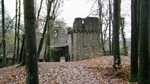 Burgruine Rodenstein