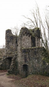 Burgruine Rodenstein